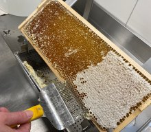 AG Bienenfreunde &raquo; Honigernte 2024