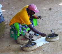 Reise nach Sri Lanka
