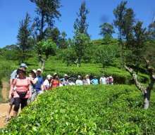 Reise nach Sri Lanka