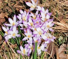 Wanderungen &raquo; Wanderung Glatzenstein