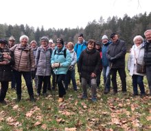 Wanderungen &raquo; Wolfshöhe - Kuhnhof 01/2023