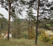 Wanderung der Musikgruppe 2024