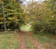 Wanderung der Musikgruppe 2024