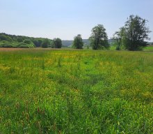 Wanderungen &raquo; Themenwanderung "Wasser" Ranna