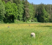 Themenwanderung &quot;Wasser&quot; Ranna