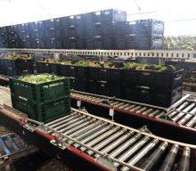 Gartenbaubetrieb 2025