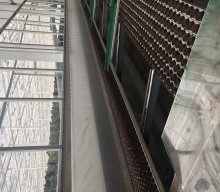 Gartenbaubetrieb 2025