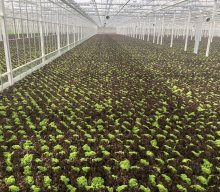 Gartenbaubetrieb 2025