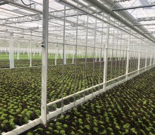 Gartenbaubetrieb 2025