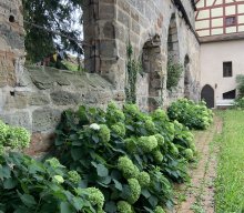 Wanderung & Stadtführung in Lauf