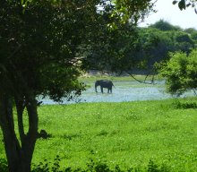 Reise nach Sri Lanka