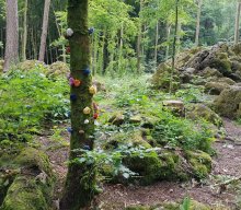 Wanderung mit Dampfbahnfahrt