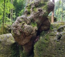 Wanderung mit Dampfbahnfahrt