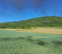 Wanderung & Dampfbahn 2025