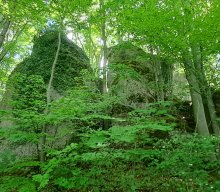 Wanderung & Dampfbahn 2025